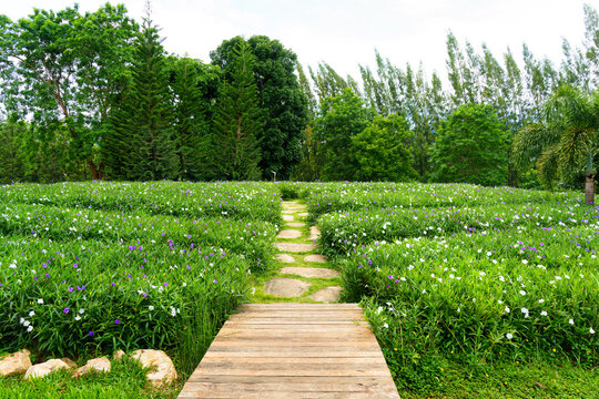 Wooden bridge and stone walkway leading through blooming flower garden with green trees