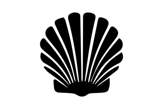 Seashell vector silhouette isolated on transparent background cutout graphic illustration