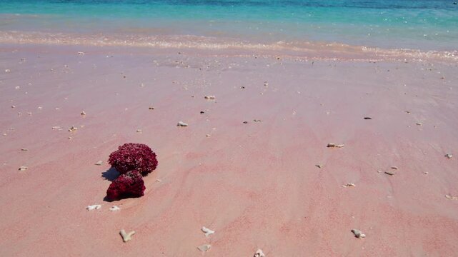 Pink Beach Labuan Bajo