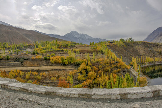 View of the vibrant autumn foliage with yellow and orange trees, terraced fields, and mountains surrounding the lake in Phander Valley, Gilgit Baltistan, Pakistan.
