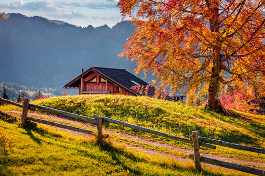 Marvelous autumn view of Canali valley, Piereni location, Province of Trento, Italy, Europe. Majestic morning scene of Dolomite Alps. Beauty of countryside concept background.