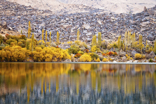 View of Upper Kachura Lake with vibrant autumn foliage, tall poplar trees, and rocky mountain slopes reflected in the calm water in Skardu, Pakistan.