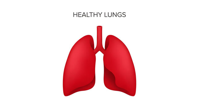 Human lungs illustration with medical text on a white background