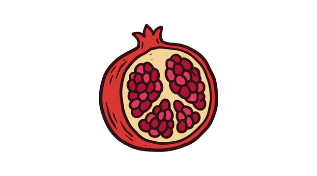 Hand drawn sliced pomegranate fruit vector illustration