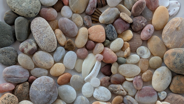 Detailed close-up of a varied collection of beach pebbles and shells in different colors and shapes.