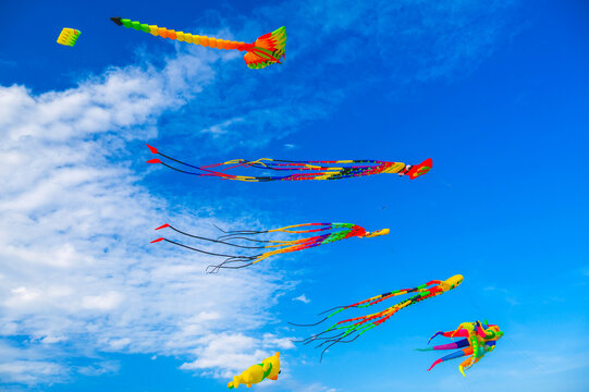 Flying colorful kites in the blue sky. Kite Festival. The concept of freedom and summer leisure