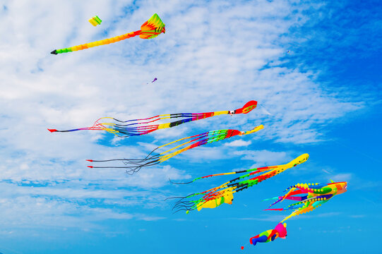 Flying colorful kites in blue sky. Kite Festival in summer
