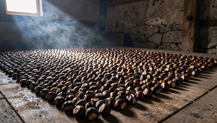 Fototapeta premium Chestnuts drying on a wooden floor in a smoky stone loft