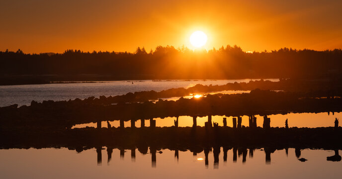 View of Coquille River tide pools with weathered wooden pilings reflecting the golden light of the sunrise in Bandon, Oregon, United States.
