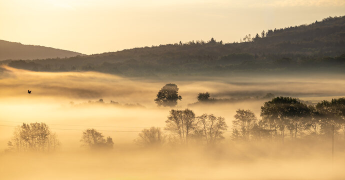 Epischer Sonnenaufgang &uuml;ber einer Landschaft im Nebelmeer