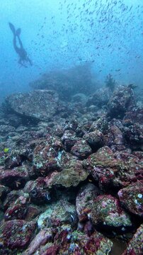 Weh Island, Indonesia : Footage of diver silhouette by big rocks through school of fish during a dive in Batee Tokong, rocky dive site in Weh Island of Sabang, Aceh, Indonesia