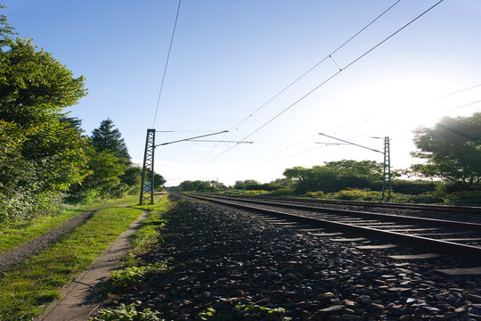 Electrified railway tracks stretching into the distance through green vegetation under a clear blue sky and bright morning sunlight.