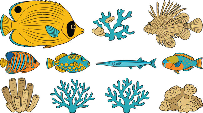 Coral reef fish vector collection featuring a butterflyfish, lionfish, angelfish, parrotfish, needlenish, and various types of sea sponges and marine corals.