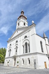 Fototapeta premium Gyor Basilica Exterior with Ornate Tower and White Classical Facade