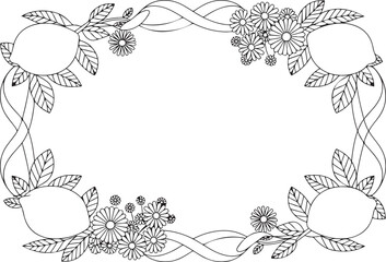 Obraz premium Lemon and Daisy Floral Frame with Botanical Leaves, Hand Drawn Black and White Line Art Border