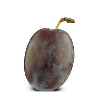 purple Damson plum