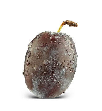 purple Damson plum