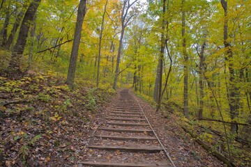 Obraz premium Trail to Parnell Tower at Kettle Moraine State Forest, Wisconsin, USA