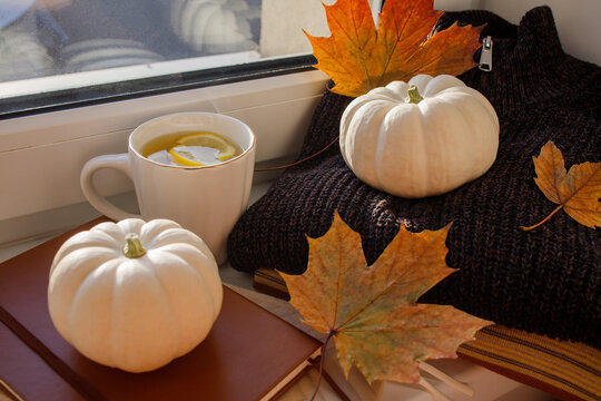 Cozy autumn vibe at home, natural fall decor and hot tea with lemon by the window close up. Warm sweaters, white pumpkins and maple leaves, making home cozy during fall season