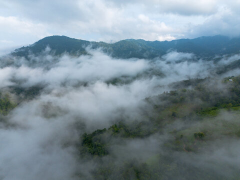Misty mountain forest landscape with rolling green ridges, dense cloud, and atmospheric fog creating serene natural wilderness scene