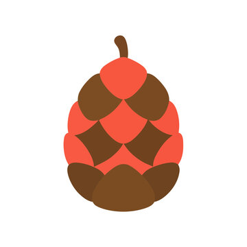 Stylized pine cone illustration