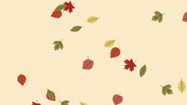 video animation motion graphic, Falling Halloween Leaves, 2d flat cartoon stock footage 4k high quality