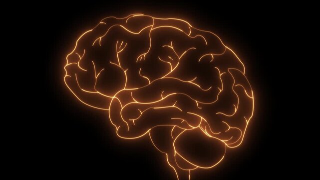 Glowing Neon Brain Organ Icon, Futuristic Digital Design Symbol of Intelligence and Mind brain medicine memory. Medical futuristic technology of the neon lines drawing a man brain on black