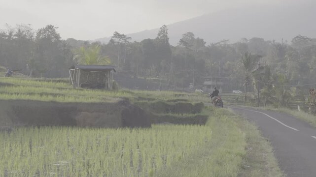 Bali rice terraces with motorbike on rural road. Shot in Apple Log profile with flat color. HEVC H.265 10bit codec for professional color grading. Traditional hut and misty mountain background