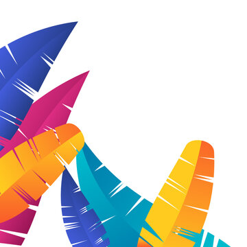 Colorful Abstract Feather Border Decoration