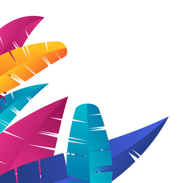 Colorful Abstract Feather Border Decoration