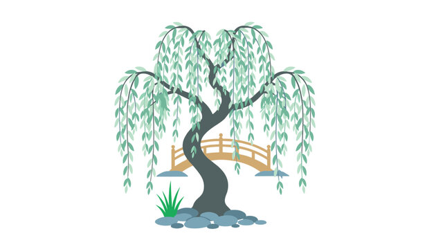 Weeping willow tree with cascading green leaves shading a traditional wooden bridge over a stone rimmed pond.