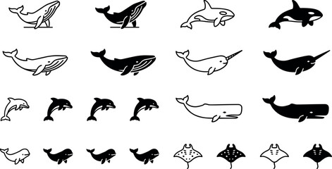Whale and dolphin black linear icons vector set featuring killer whale narwhal sperm whale manta ray and beluga sea creatures isolated on white background © Abdul