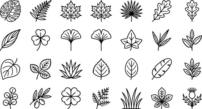 Leaf line icons set featuring tropical foliage monstera maple oak clover and botanical tree leaves vectors for nature graphic designs.