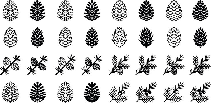 Conifer pine cone silhouette icons vector set featuring black graphic outlines of spruce fir cedar larch cones and forest evergreen branches isolated on white background