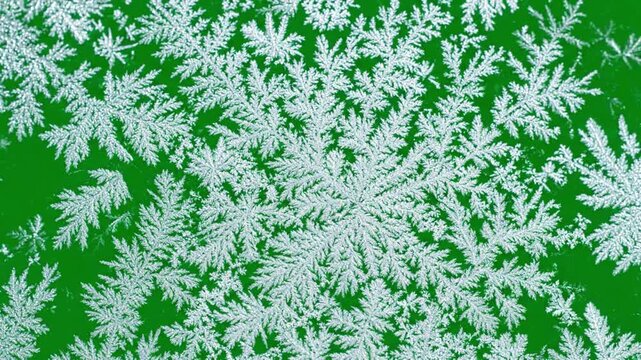 Ice crystals growing on a green background, time lapse of frosting process on glass window, macro view of freezing crystal structures forming during winter, beautiful organic textures