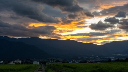Fototapeta premium 夏の空