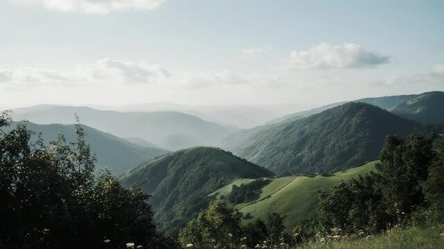 Lush green rolling hills under a soft cloudy sky during a serene sunrise with gentle camera movement