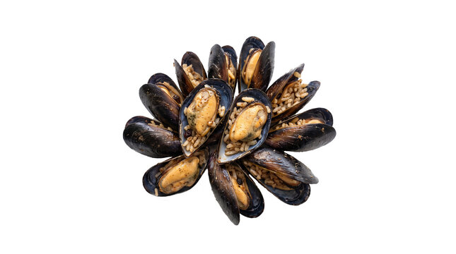 Traditional Turkish stuffed mussels midye dolma arranged in flower shape isolated on white background