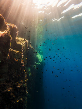 Underwater Cave with School of Fish and Sunlight Beams in Blue Ocean
