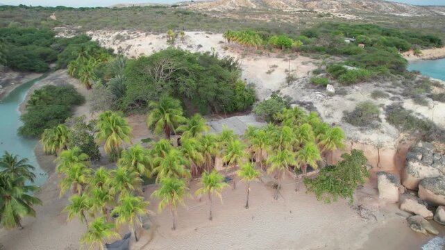 Aerial view of a secluded beach with palm trees, Venezuela.