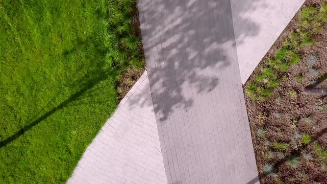 Aerial top down view of walking path in a summer garden with grass and shadows from trees