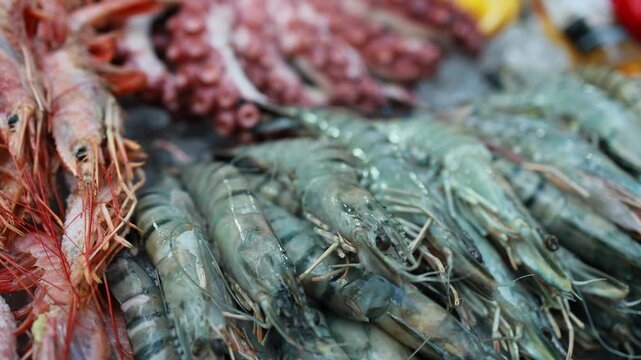 Fresh shrimp and seafood displayed on counter at fish market. Raw prawns and octopus for sale at seafood stall. Traditional market food shopping concept.