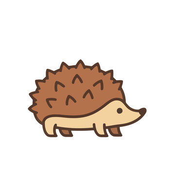 Cute cartoon hedgehog illustration