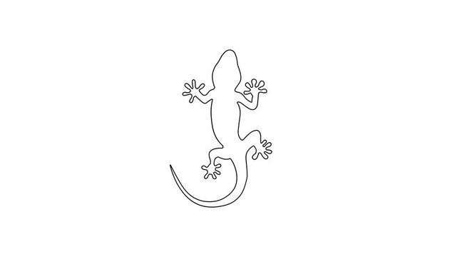 Top-down outline animation of a four-legged animal; resembling icons of an iguana, gecko, lizard, or house lizard; black-and-white concept; 4K video.