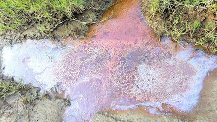 Obraz premium Iridescent Oil Slick on Water Surface with Green Grass and Muddy Soil