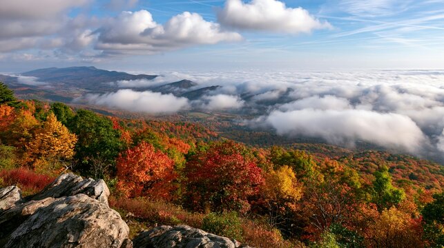 a serene autumnal scene. The main subject is a dense forest of vibrant fall foliage in shades of red, orange, yellow, and green, set against a backdrop of rolling hills and dense mist.