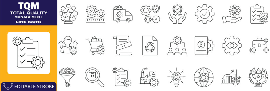 Total Quality Management solid icon set quality assurance Vector illustration