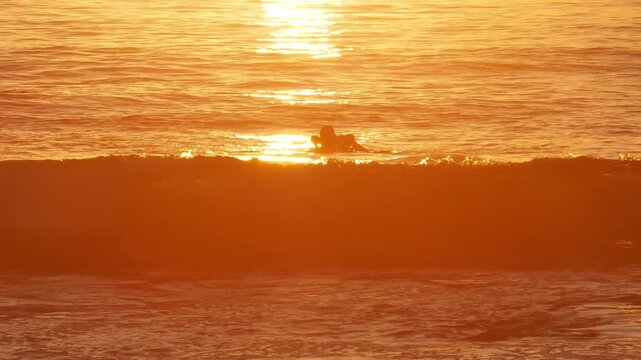 A young girl floating in the ocean off Laguna Beach, California. Sitting on surfboard, waiting for a wave to ride. Shot during a beautiful golden sunset.