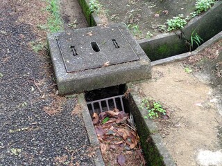 Obraz premium 落ち葉が溜まった側溝と集水枡、日本の住宅地の排水設備