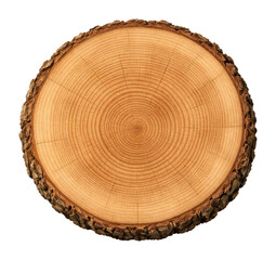 Obraz premium PNG Tree trunk cross section with visible growth rings and bark edge